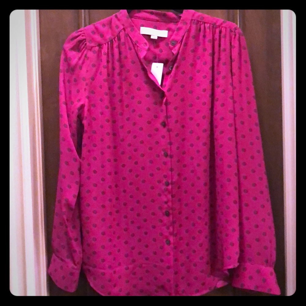 Loft blouse